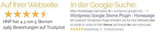 Google Sterne Suche Wordpress Plugin